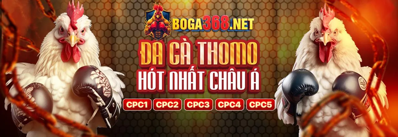 Đá Gà Trực Tuyến Hấp Dẫn tại Viva88